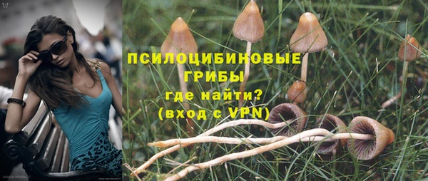 соль ск Володарск